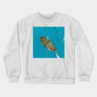 Turquoise Moth Crewneck Sweatshirt